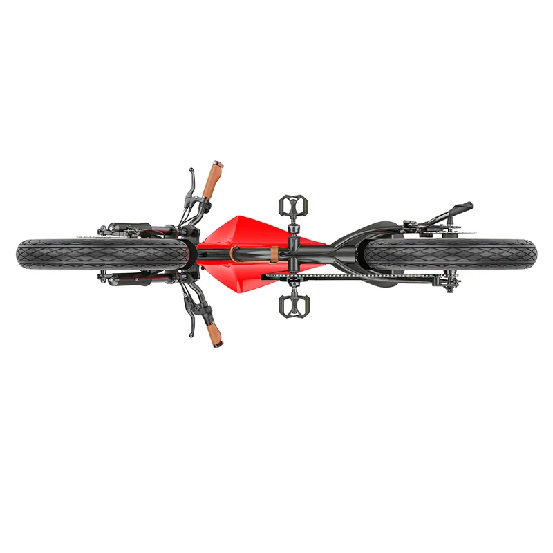 Hidoes B10 Electric Dirt Bike 20" Fat Tires 1000W Motor 48V 12.5Ah Battery
