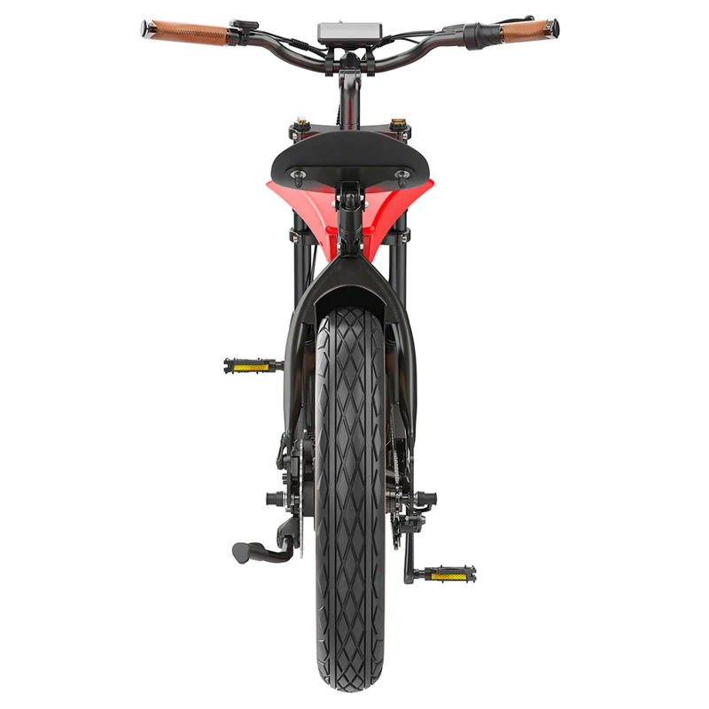 Hidoes B10 Electric Dirt Bike 20" Fat Tires 1000W Motor 48V 12.5Ah Battery