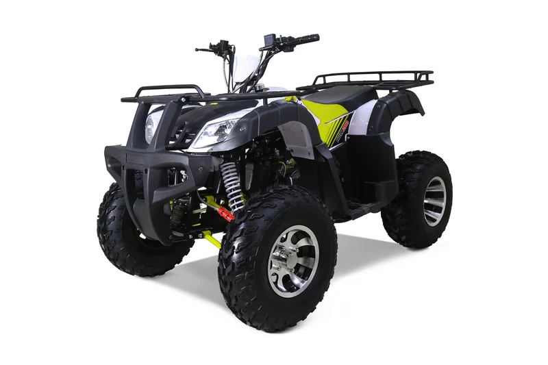 Tao ATV BULL 200S