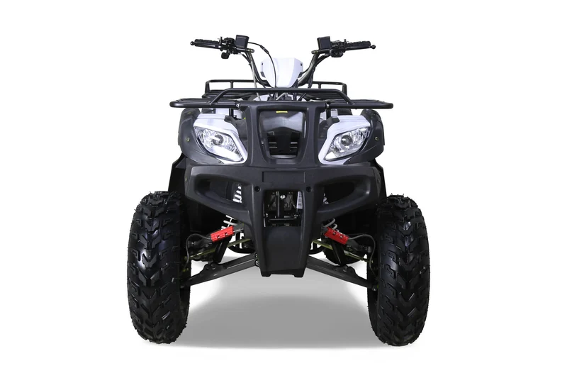 Tao ATV BULL 200S