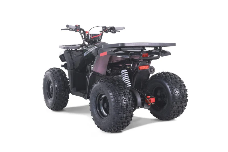 TAO MUDHAWK 10 ATV