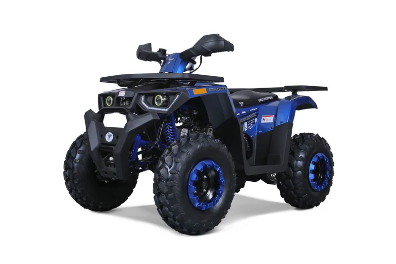 Tao Moto ATV G200