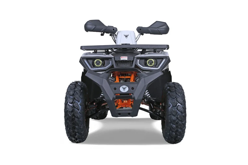 Tao Moto ATV G200