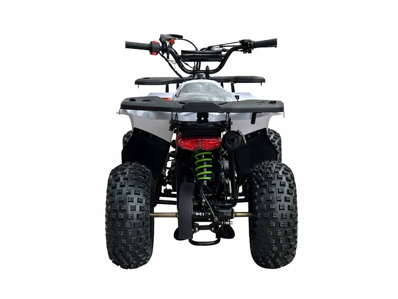 RXR 110cc ATV