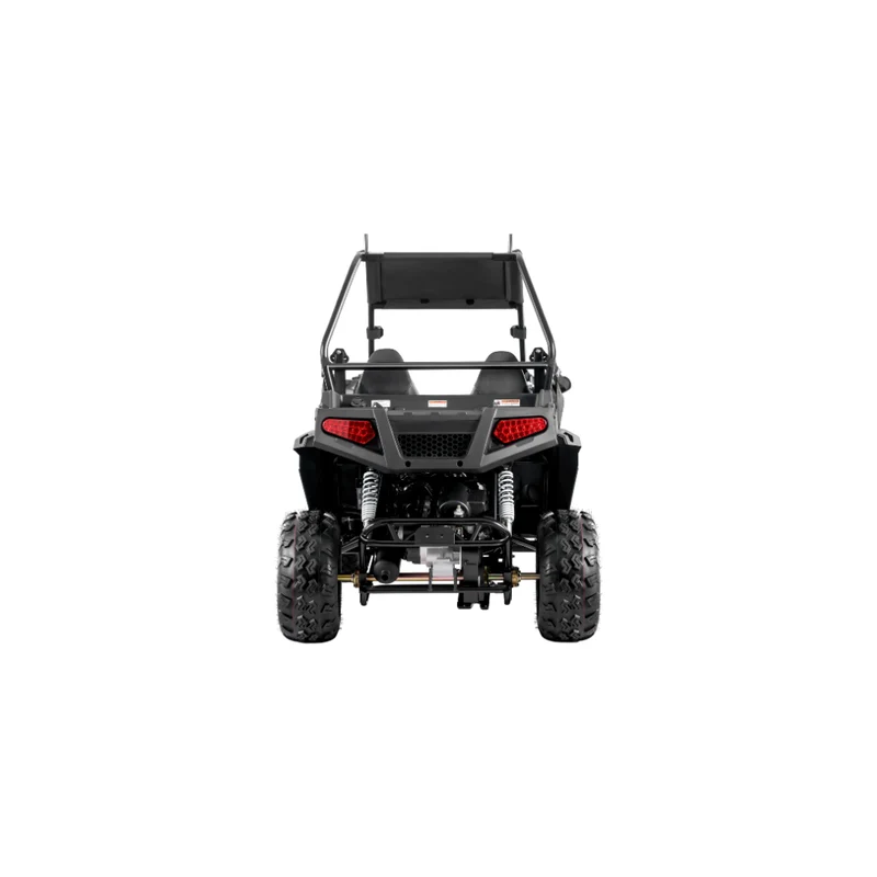 200 U(EFI) UTV ( Utility Vehicle)