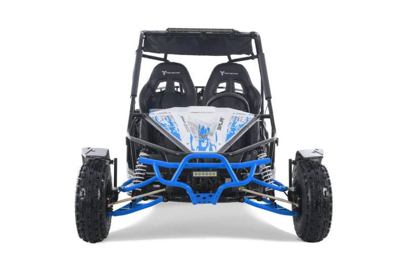 TAO Go-Cart Baja Sport 200