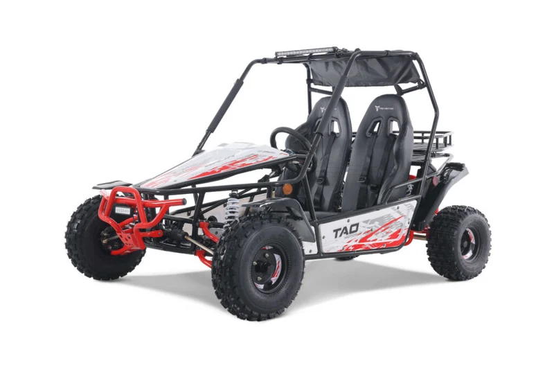 TAO Go-Cart Baja Sport 200