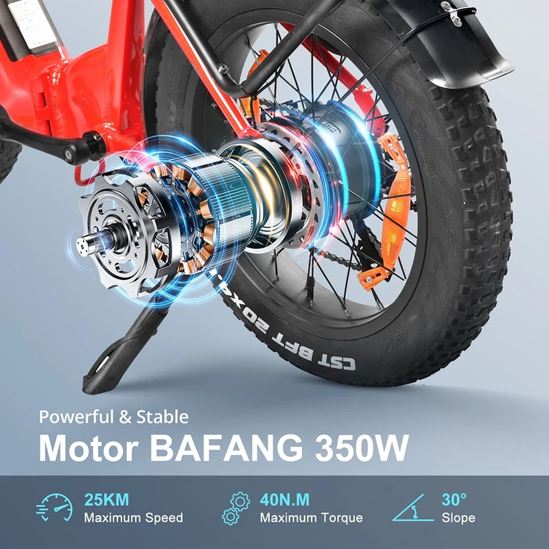 Kaisda K20F Electric Bike 20" Tires 250W 36V 25Ah Battery