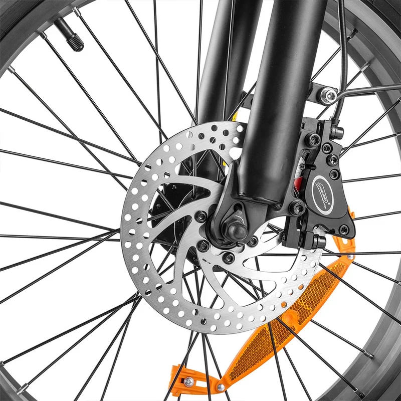 Fafrees F20 X-Max Electric Bike 20" Tires 750W Motor 48V 30Ah Battery
