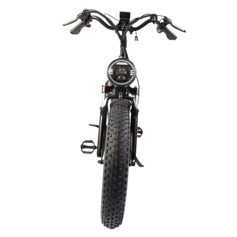 Bezior XF001 Electric Mountain Bike 20" Fat Tires 1000W Motor 48V 12.5Ah Battery