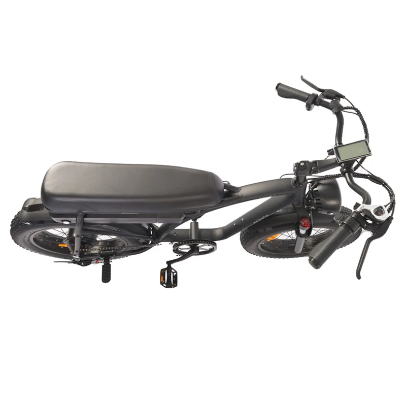Bezior XF001 Electric Mountain Bike 20" Fat Tires 1000W Motor 48V 12.5Ah Battery
