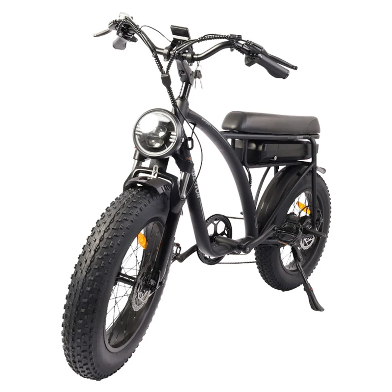 Bezior XF001 Electric Mountain Bike 20" Fat Tires 1000W Motor 48V 12.5Ah Battery