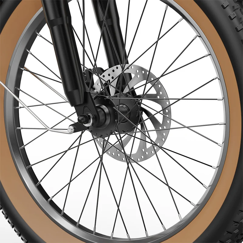 ONESPORT OT16-2 Electric Bike 20" Tires 250W Motor 48V 17Ah Battery