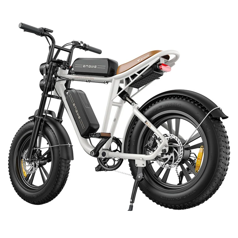 ENGWE M20 Electric Mountain Bike 20" Off-Road Fat Tires 750W Motor