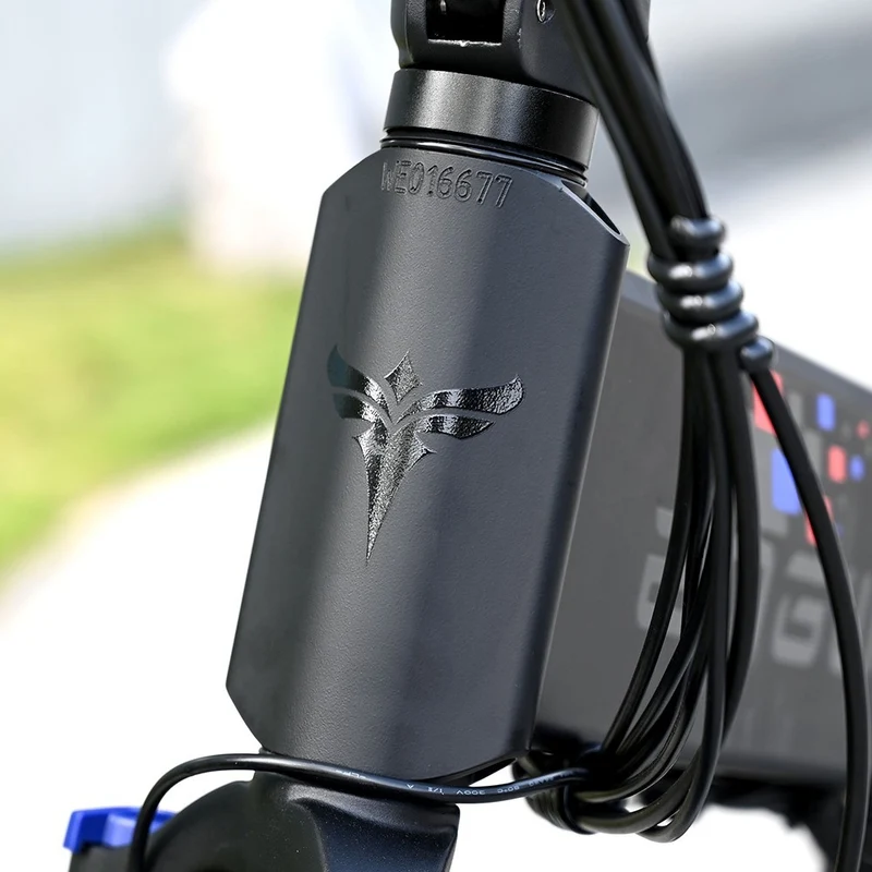 ENGWE ENGINE X Electric Bike 20" Chaoyang Tires 250W 48V 13Ah Battery