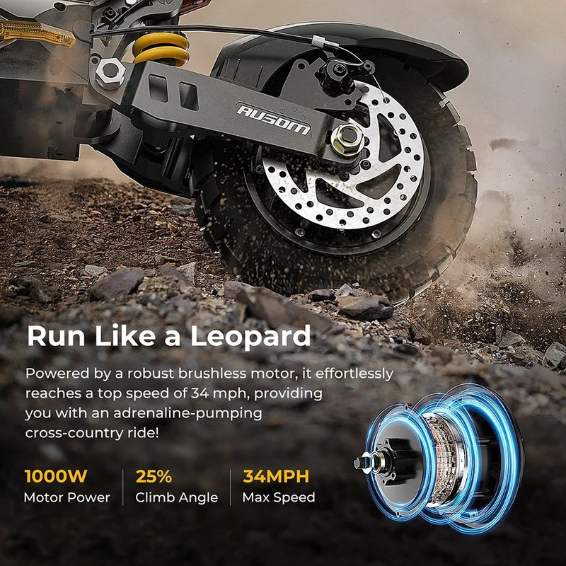 Ausom Leopard Electric Scooter with Seat 10" Tires 1000W 48V 20.8Ah Battery