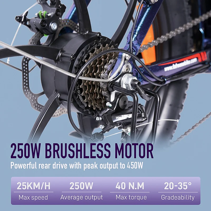Fafrees F20 Pro Electric City Bike 20" Tires 250W Motor 36V 18Ah Battery