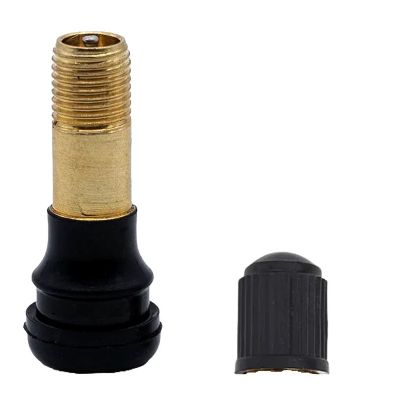 Segway Ninebot GT3 Tubeless Ventile 2er Set gerades Ventil