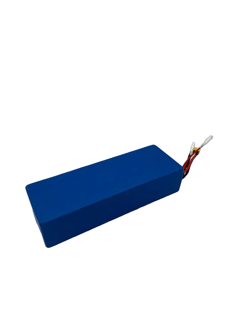 BATTERIE 52V25AH RECONDITIONNEE | DUALTRON POP DOUBLE MOTEUR