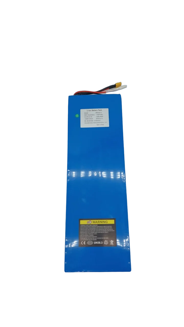 BATTERIE 52V21AH RECONDITIONNEE | DUALTRON MINI