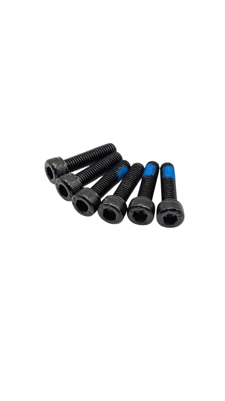 VIS JANTE MOTEUR AR X 6 | DUALTRON MINI & POP & NEW VICTOR & PLUS 2024 & EAGLE
