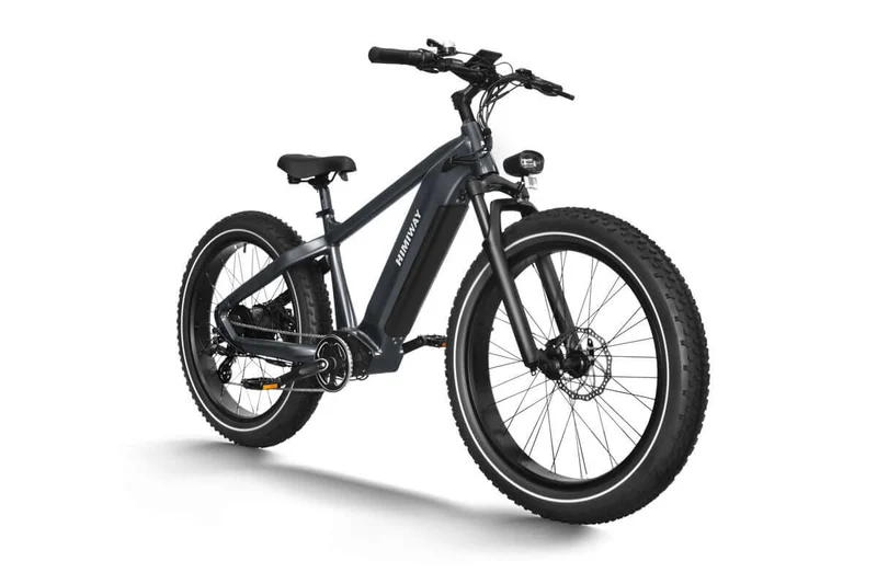 D5 Zebra All-Terrain-E-Bike