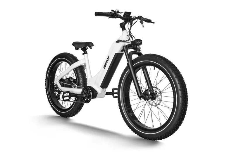 D5 Zebra All-Terrain-E-Bike
