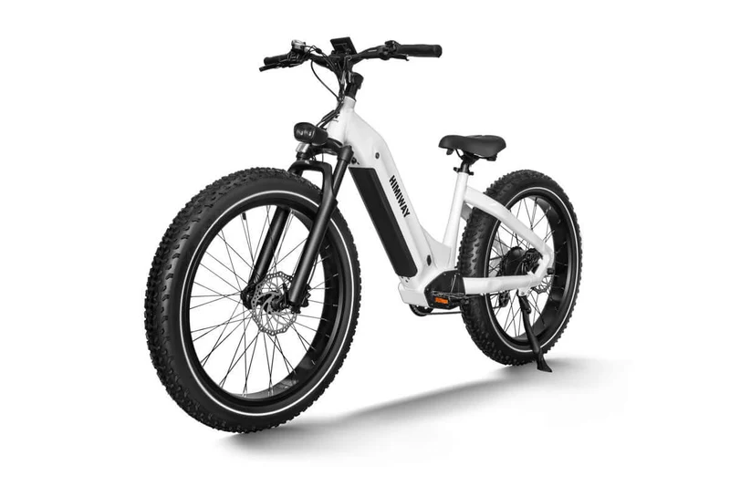 D5 Zebra All-Terrain-E-Bike
