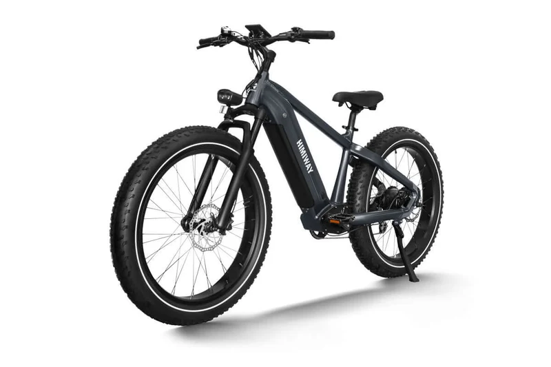 D5 Zebra All-Terrain-E-Bike