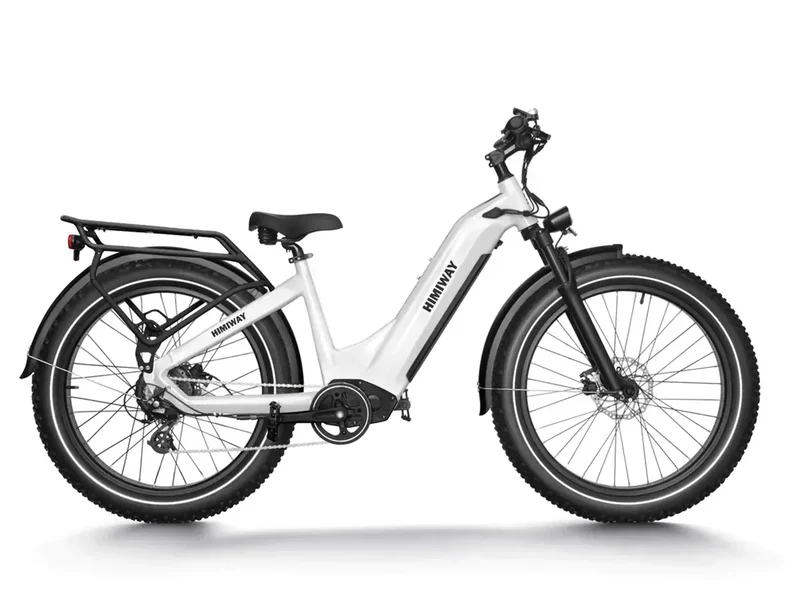 D5 Zebra All-Terrain-E-Bike