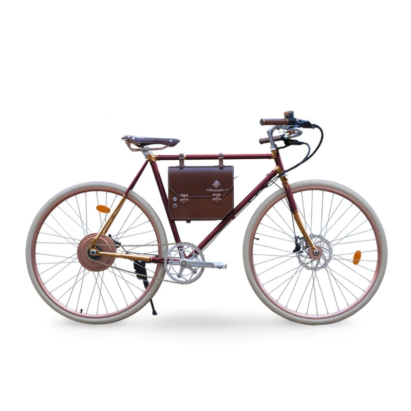 Rayvolt Ambassador