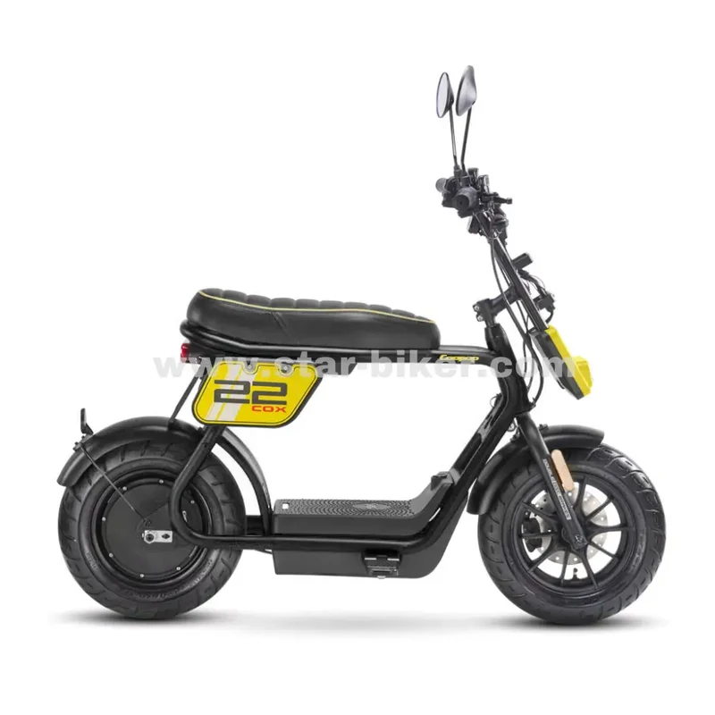 Star-Biker Monkey «Street»