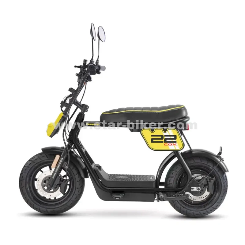 Star-Biker Monkey «Street»