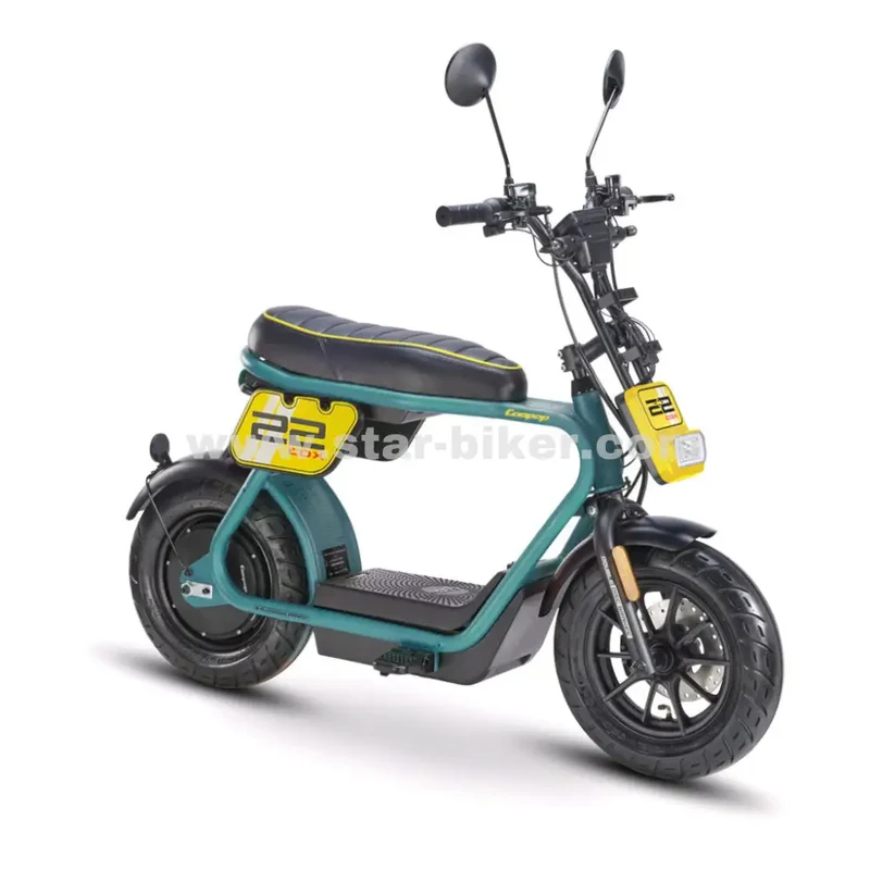 Star-Biker Monkey «Street»