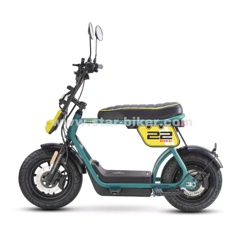 Star-Biker Monkey «Street»