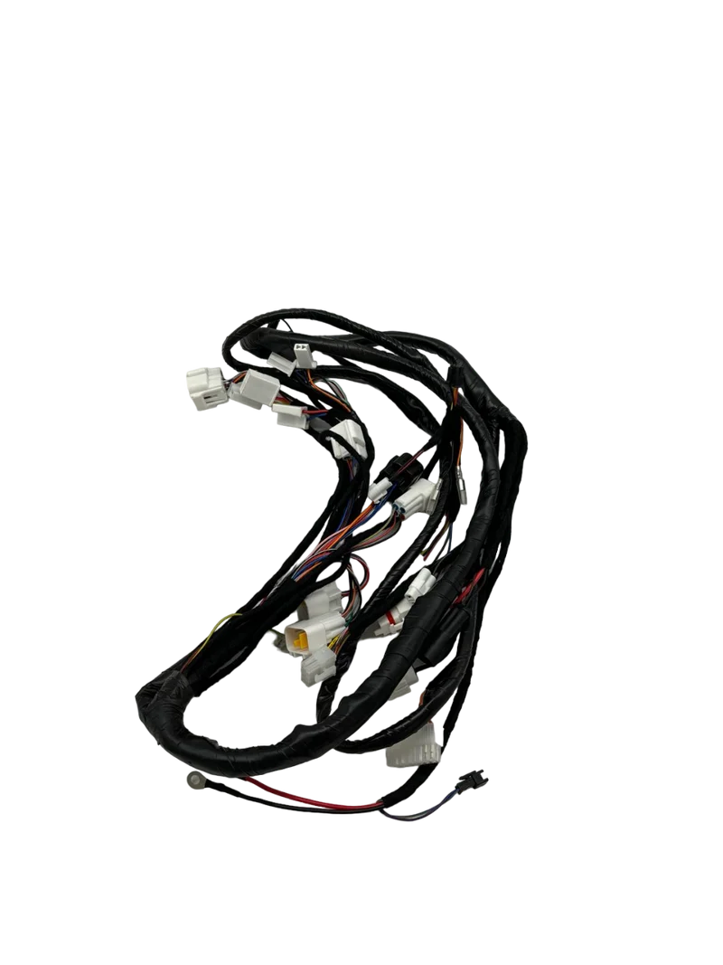 SK1 | FAISCEAU PRINCIPAL