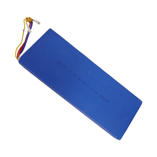 DUALTRON MINI | BATTERIE 52V17|5Ah RECONDITIONNEE