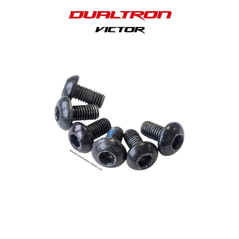 VIS DISQUE DE FREIN (X6) | DUALTRON VICTOR
