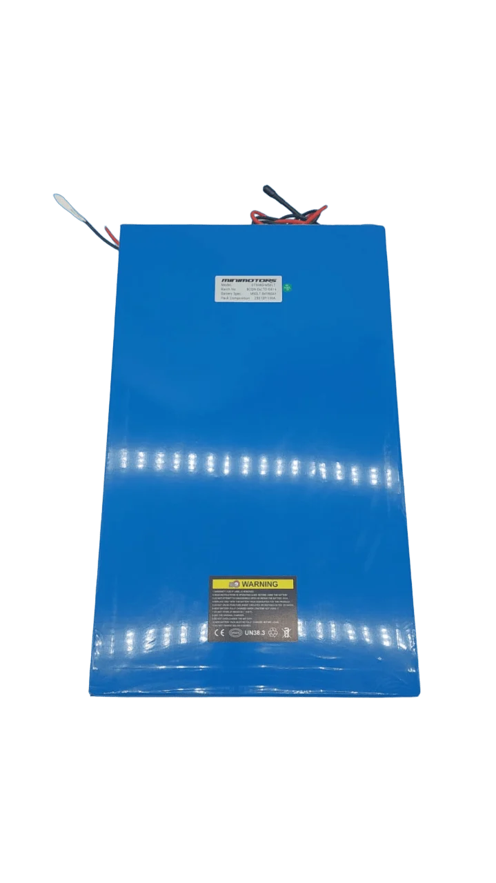 BATTERIE 84V60A | DUALTRON X LTD