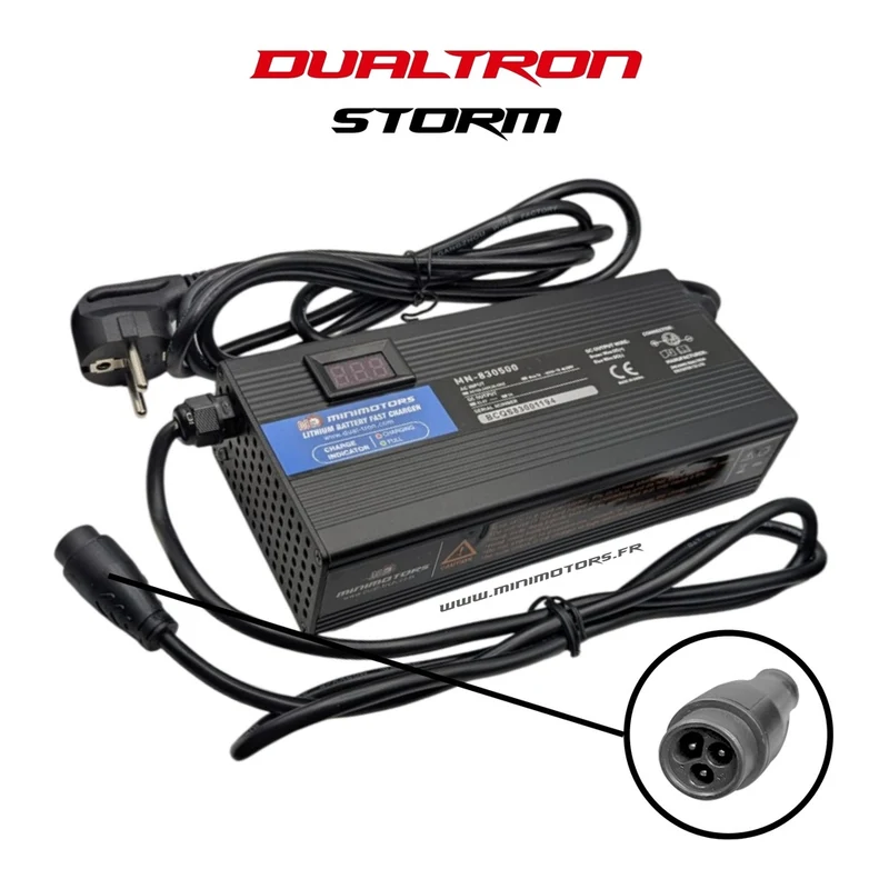 CHARGEUR RAPIDE 95.4V4A | DUALTRON X LTD & STORM LTD