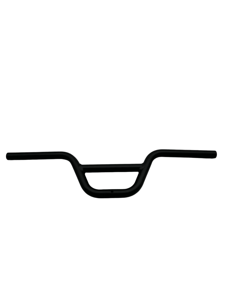 GUIDON | DUALTRON TOGO