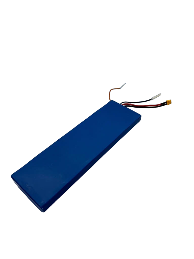 BATTERIE 48V12AH | DUALTRON TOGO PLUS