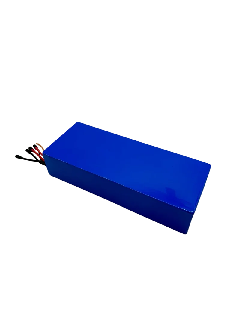 BATTERIE 60V24AH | DUALTRON VICTOR & LUXURY & SPIDER 2 & FOREVER LTD