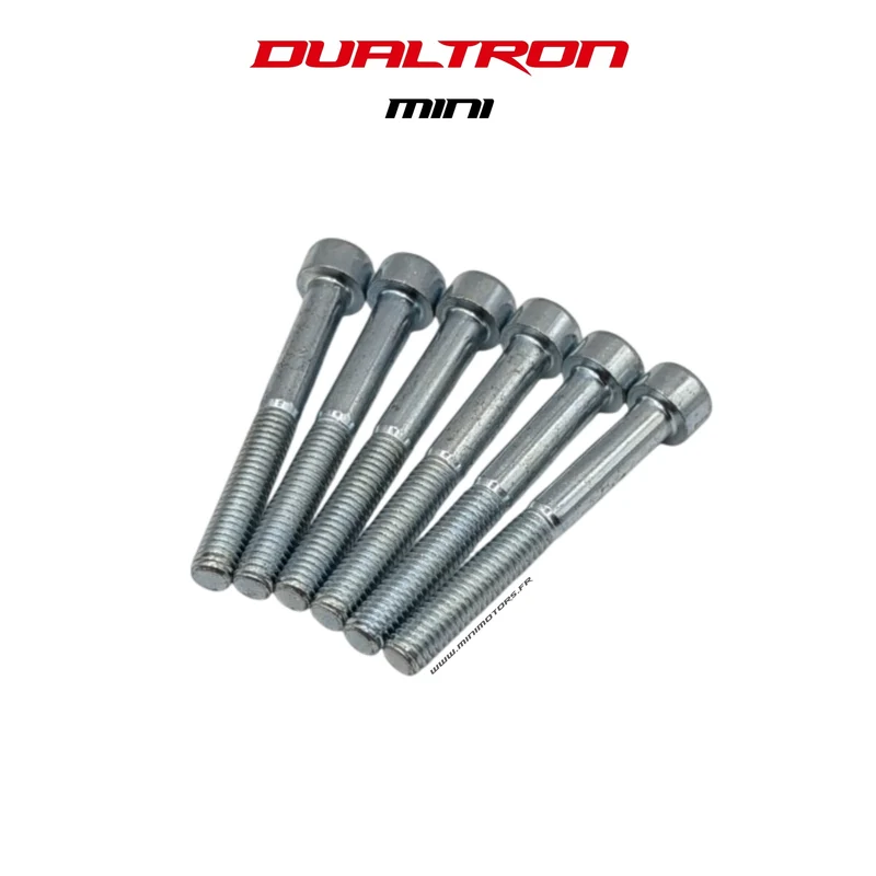 VIS COLONNE DE DIRECTION M6x48(X6) | DUALTRON MINI
