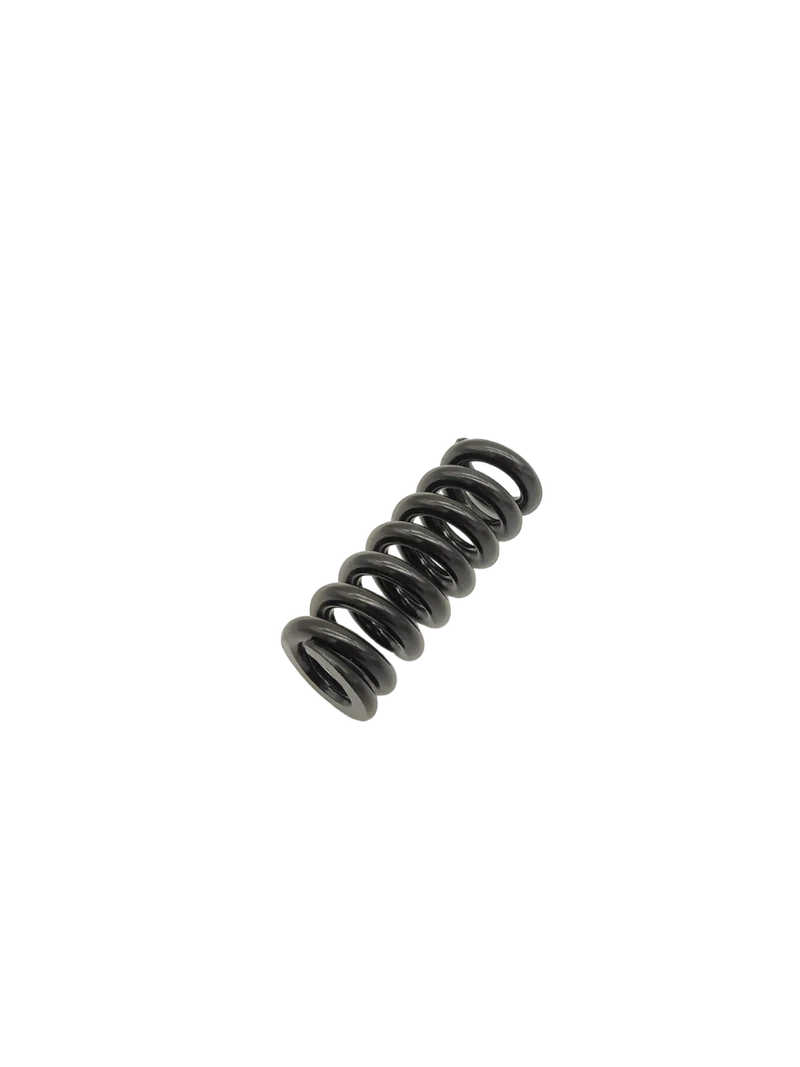 RESSORT SUSPENSION | DUALTRON MINI & AMINIA