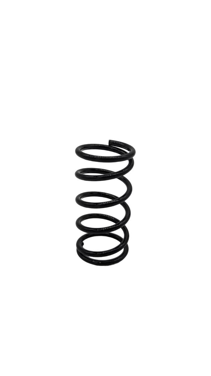 SUSPENSION AVANT | DUALTRON DOLPHIN