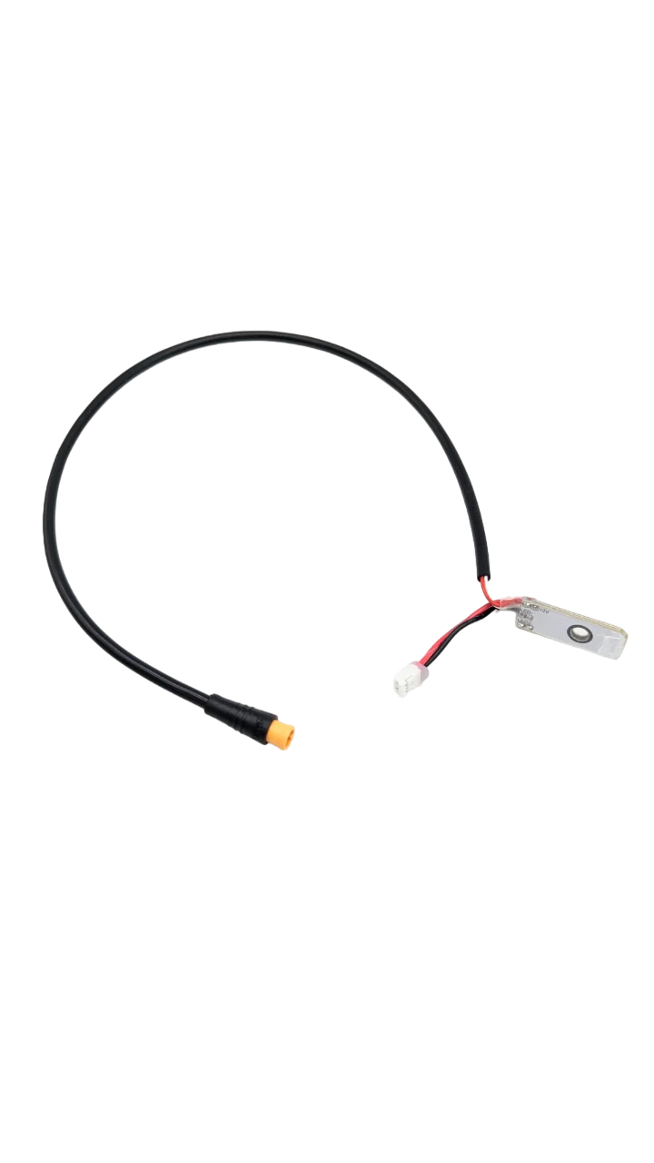 CLIGNOTANT AV DROIT | DUALTRON DOLPHIN