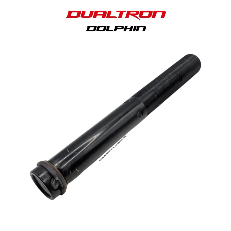 AXE DE DIRECTION | DUALTRON DOLPHIN