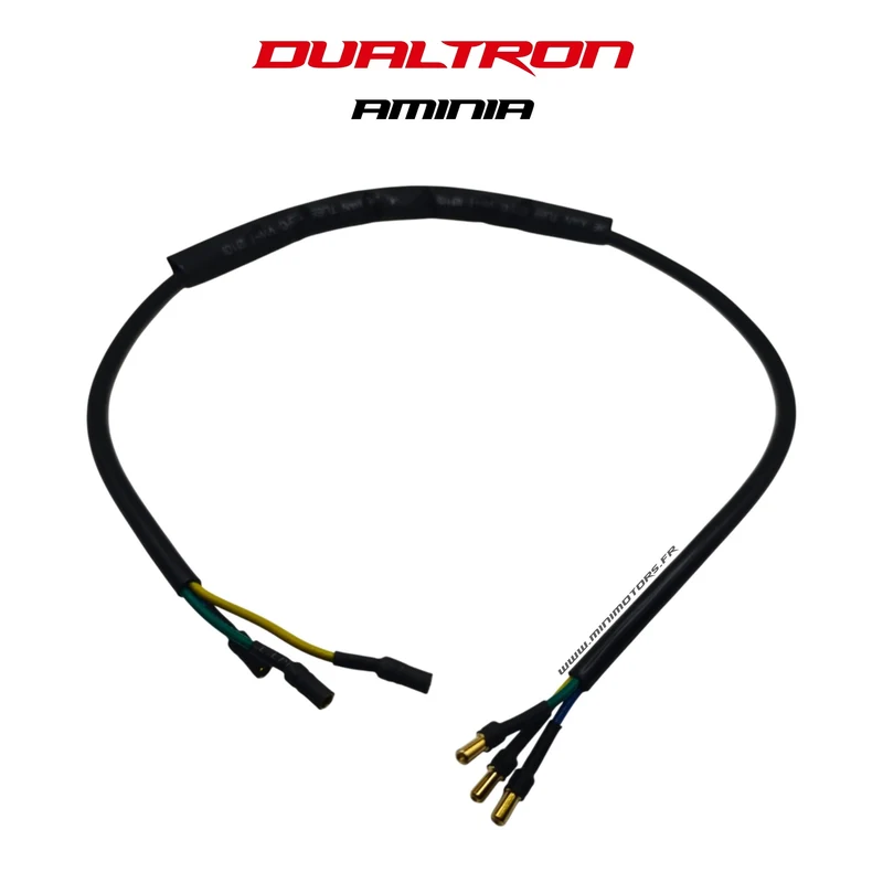Cable Controleur moteur | DUALTRON AMINIA