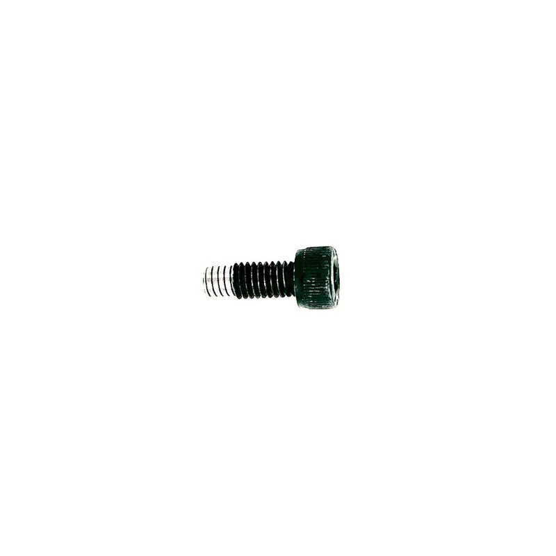 Flasque moteur coté disque Dualtron Eagle, DT3,Victor,New,Speedway 5
